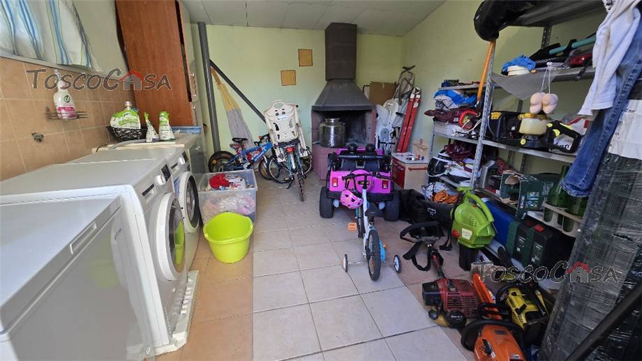 immagine annuncio 7 di 9