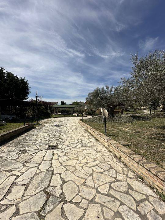 immagine annuncio 6 di 9