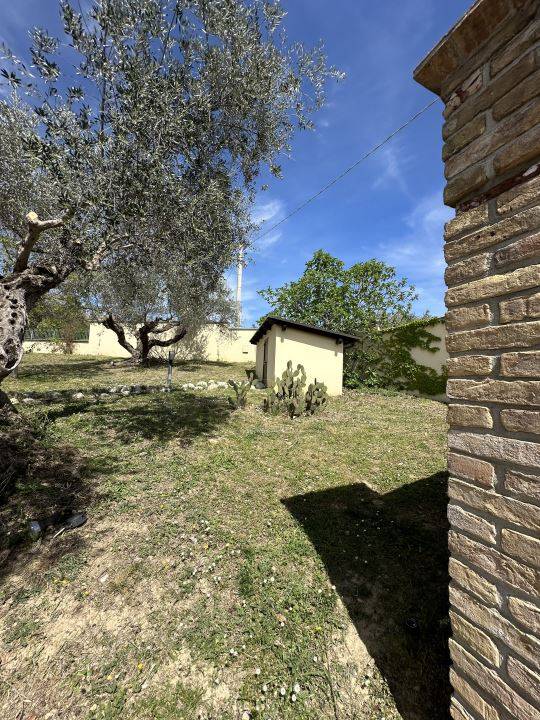 immagine annuncio 1 di 9