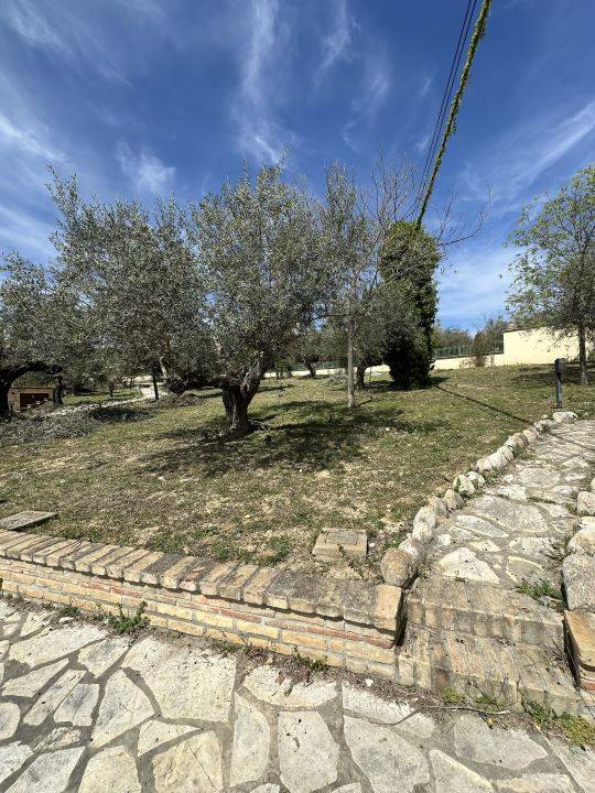 immagine annuncio 5 di 9