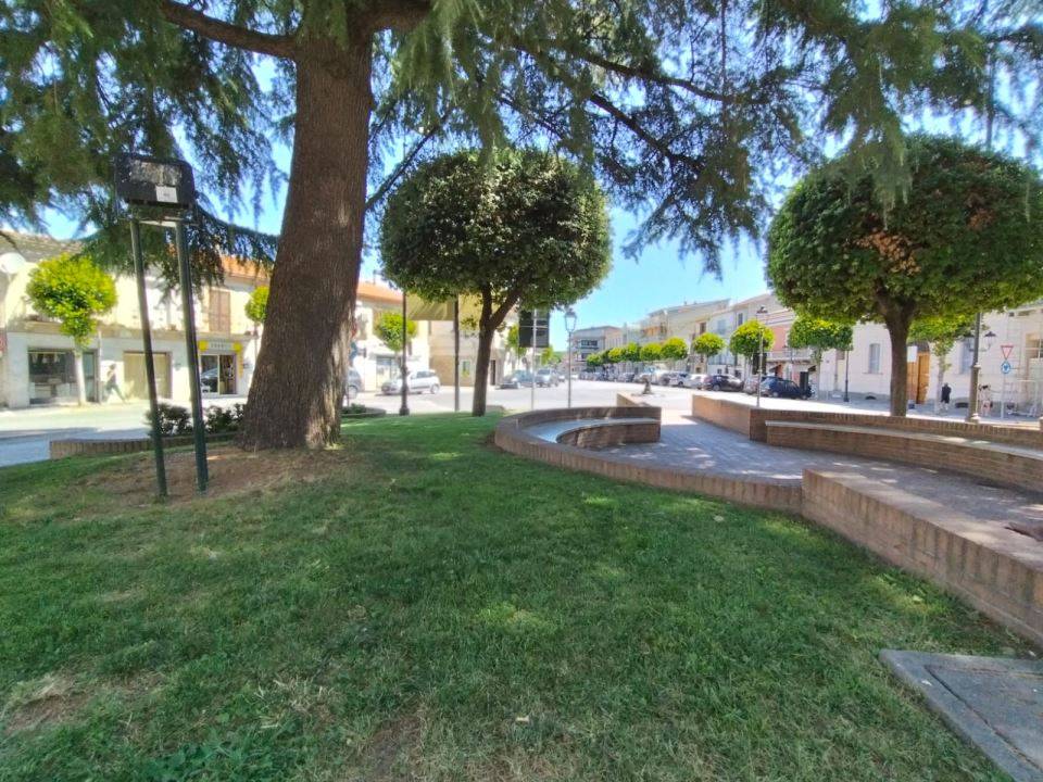 immagine annuncio 8 di 9