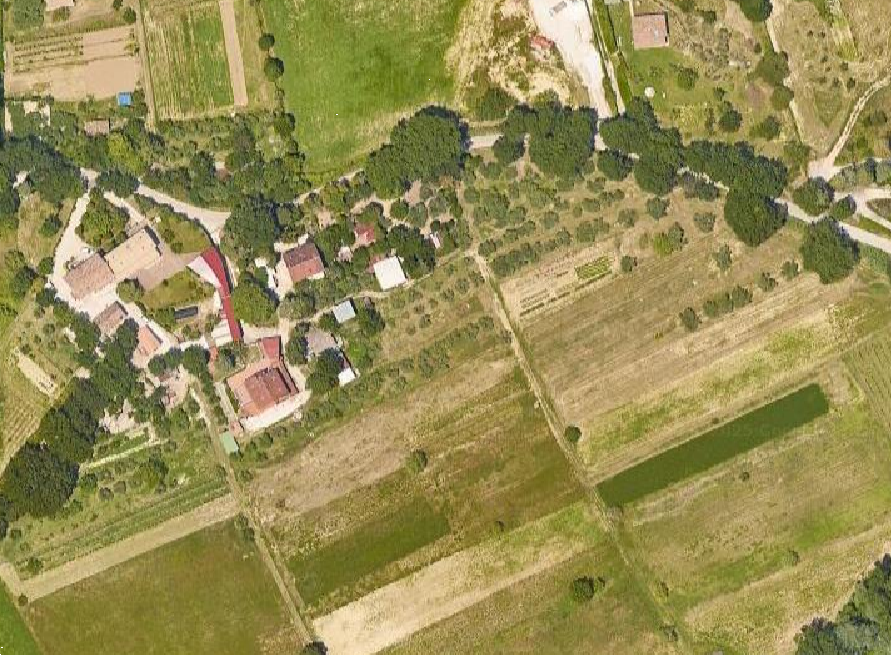 immagine annuncio 4 di 11