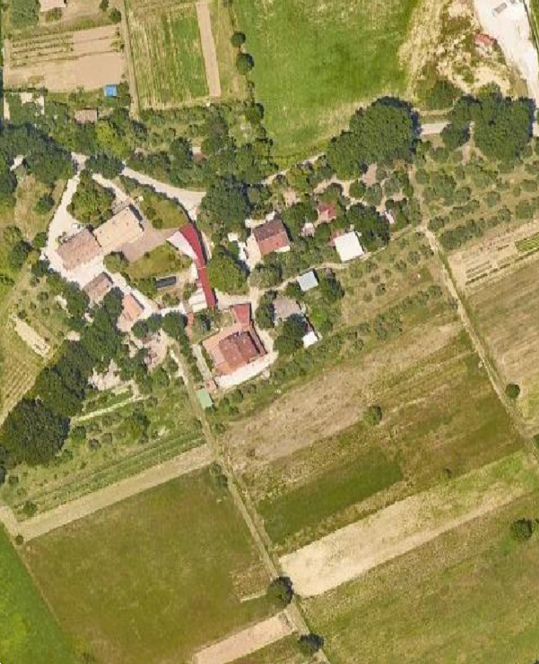 immagine annuncio 5 di 11