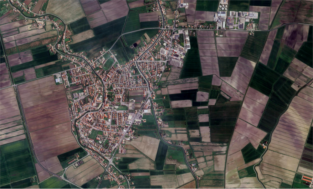 immagine annuncio 12 di 13