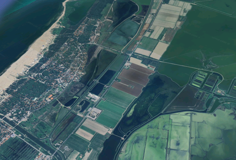 immagine annuncio 7 di 13