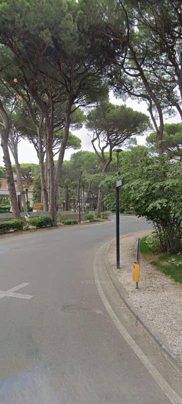 immagine annuncio 5 di 12