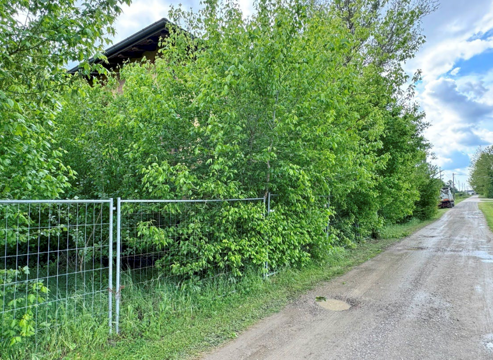 immagine annuncio 4 di 13