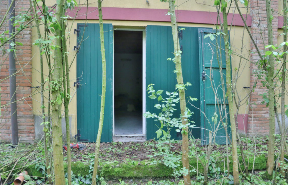 immagine annuncio 5 di 13