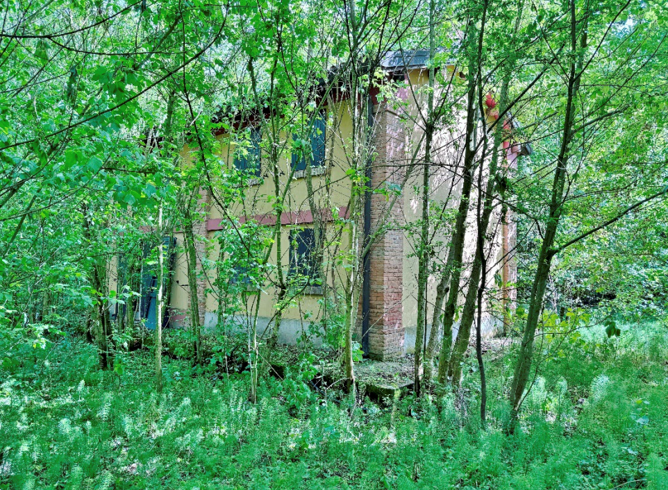 immagine annuncio 6 di 13