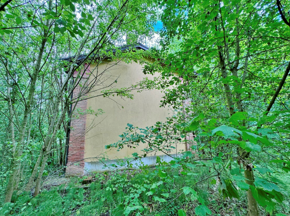 immagine annuncio 7 di 13