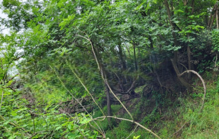 immagine annuncio 2 di 12