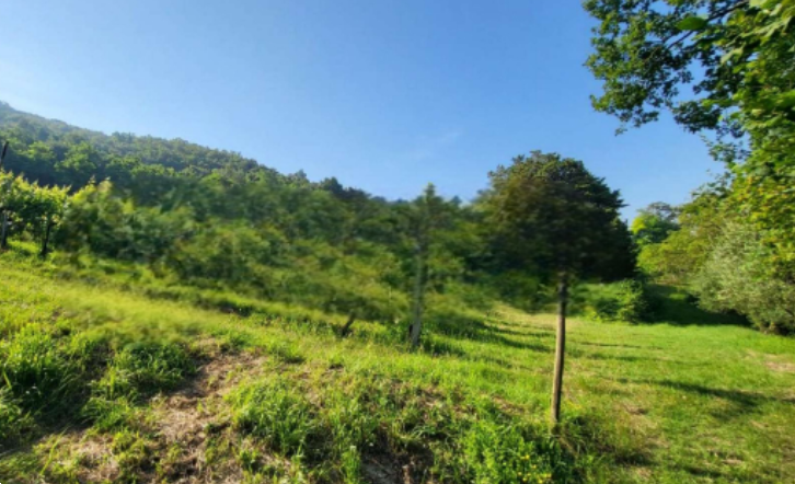 immagine annuncio 4 di 12