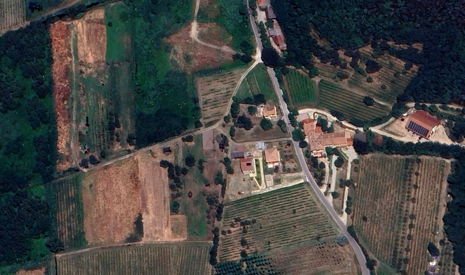 immagine annuncio 9 di 12