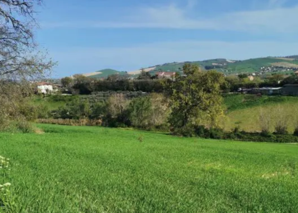 immagine annuncio 2 di 13