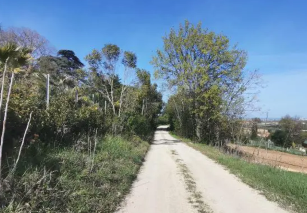 immagine annuncio 3 di 13