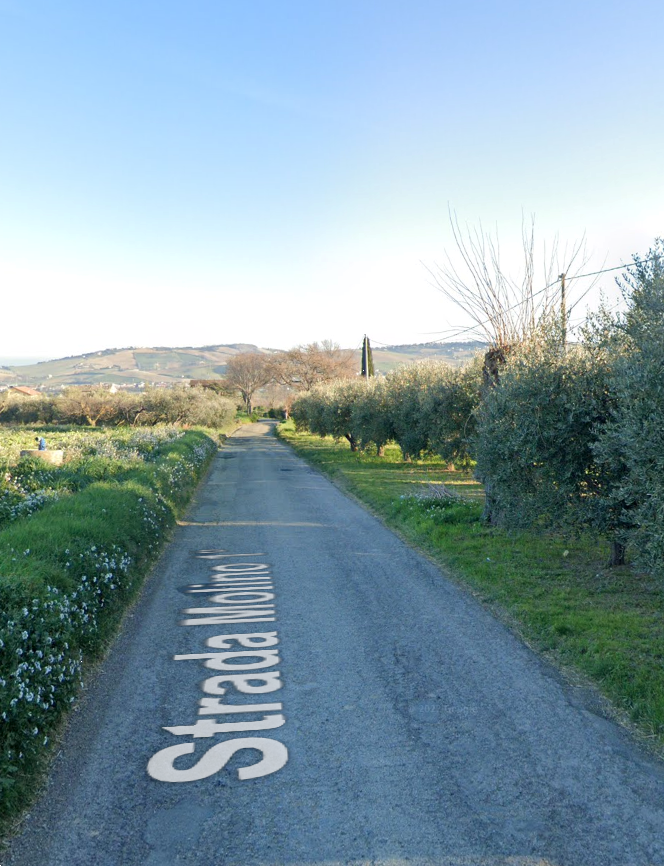 immagine annuncio 4 di 13