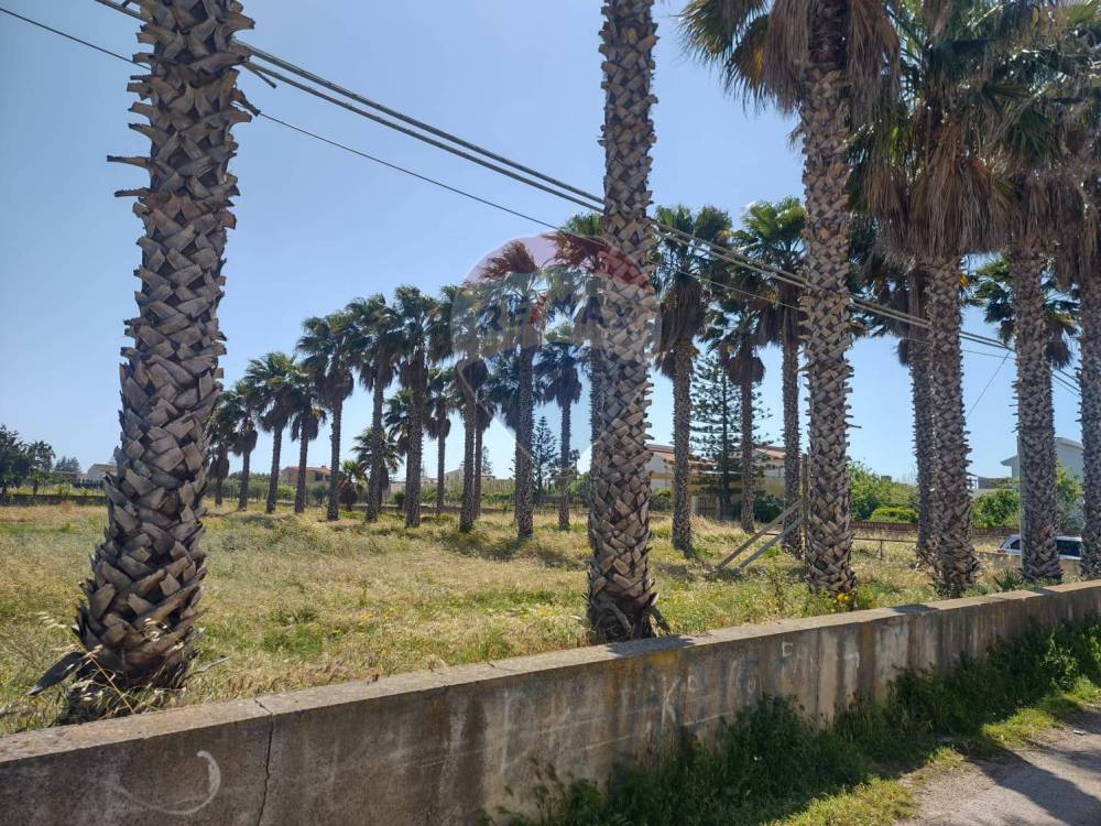 immagine annuncio 5 di 8