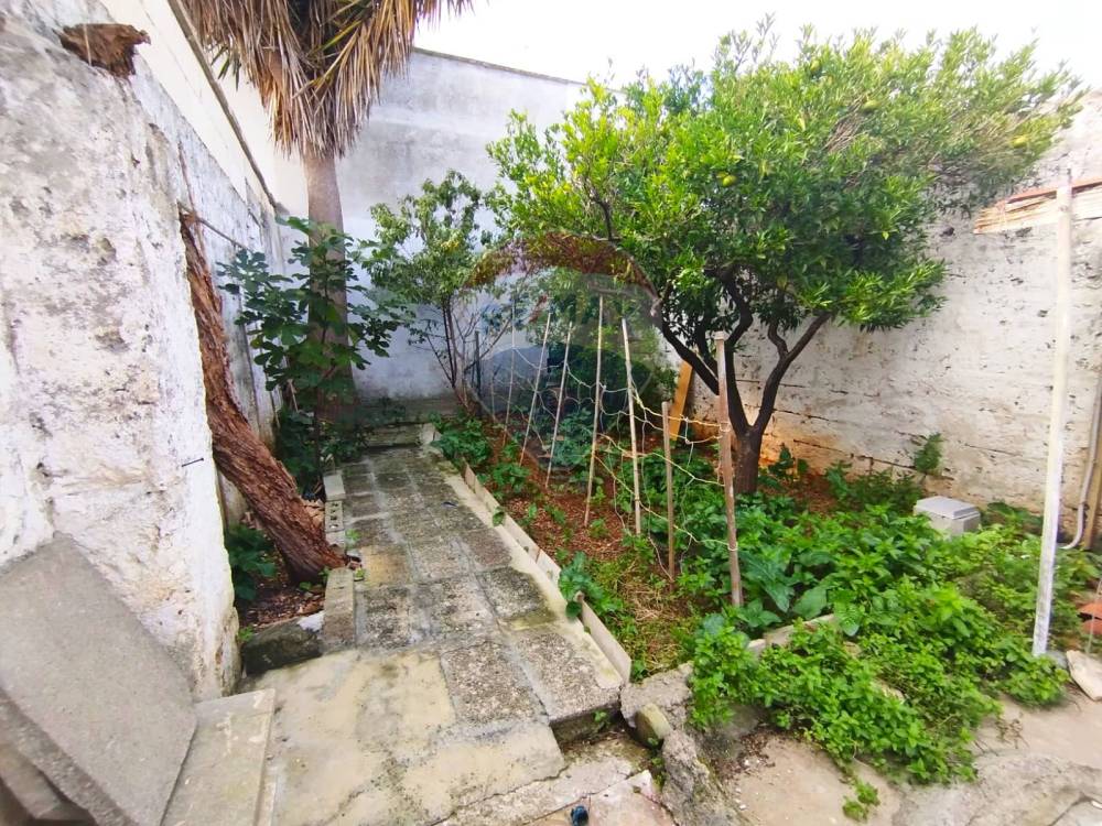 immagine annuncio 11 di 13