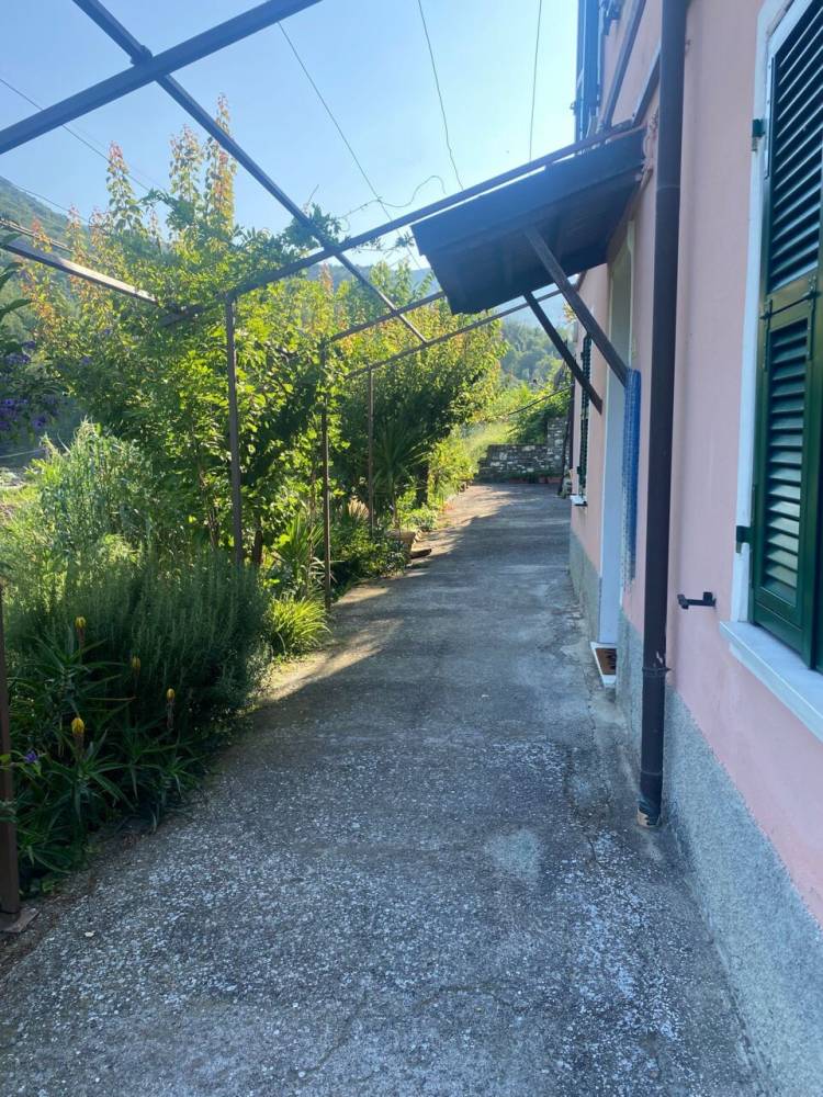 immagine annuncio 9 di 13