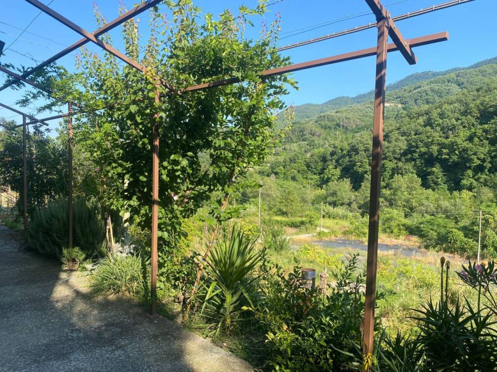 immagine annuncio 10 di 13