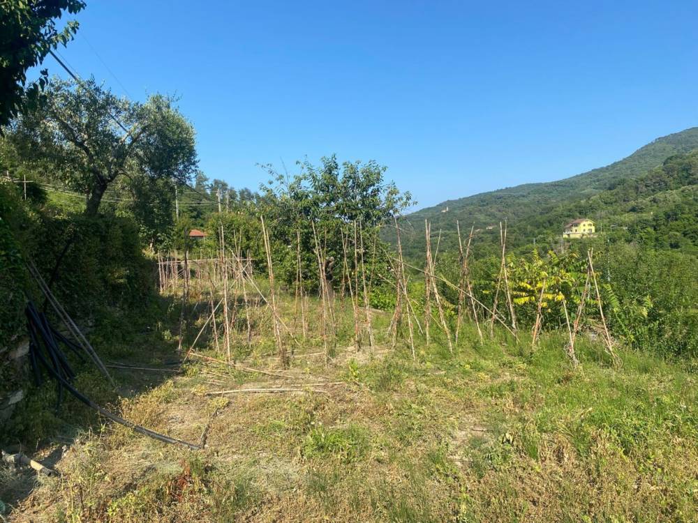 immagine annuncio 11 di 13