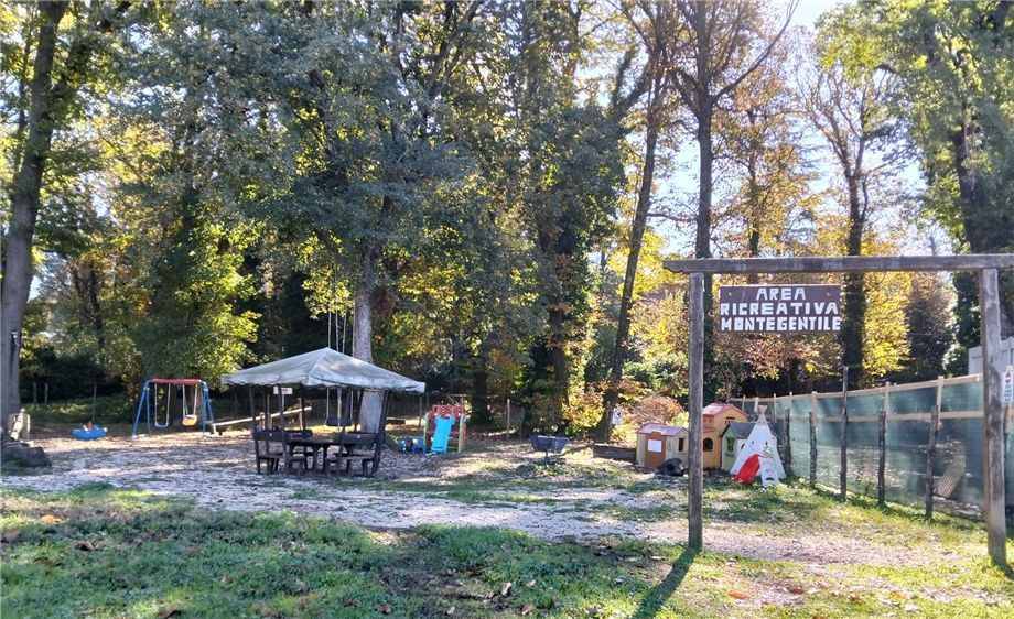 immagine annuncio 6 di 9