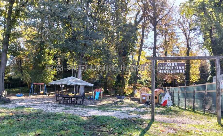 immagine annuncio 4 di 8