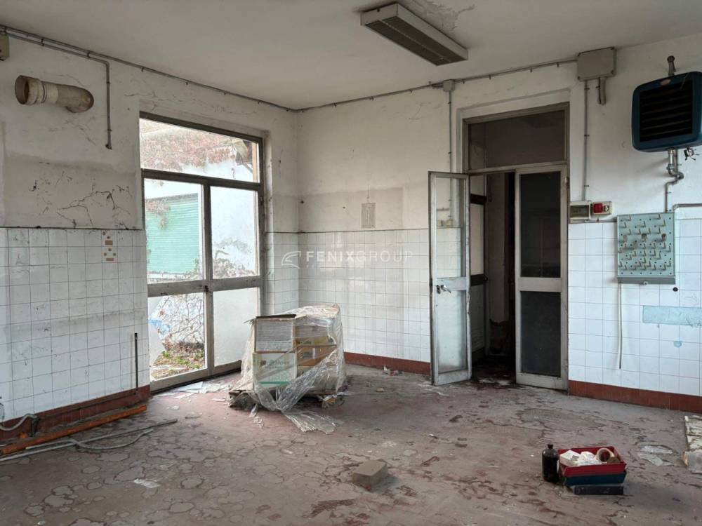 immagine annuncio 12 di 13