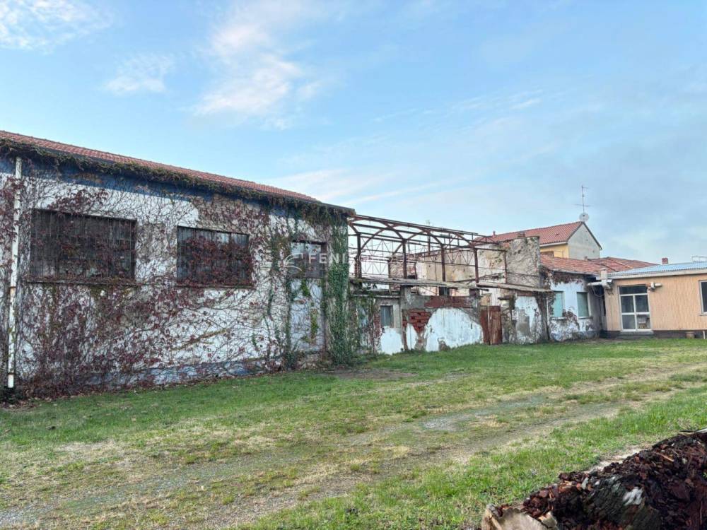 immagine annuncio 11 di 13