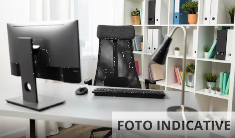 immagine annuncio 4 di 13