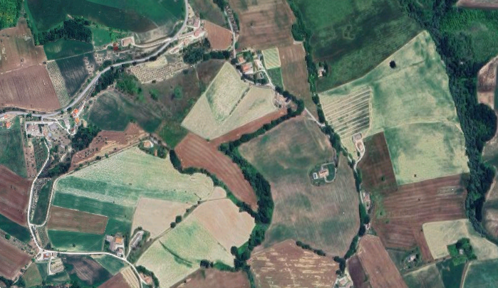 immagine annuncio 5 di 9