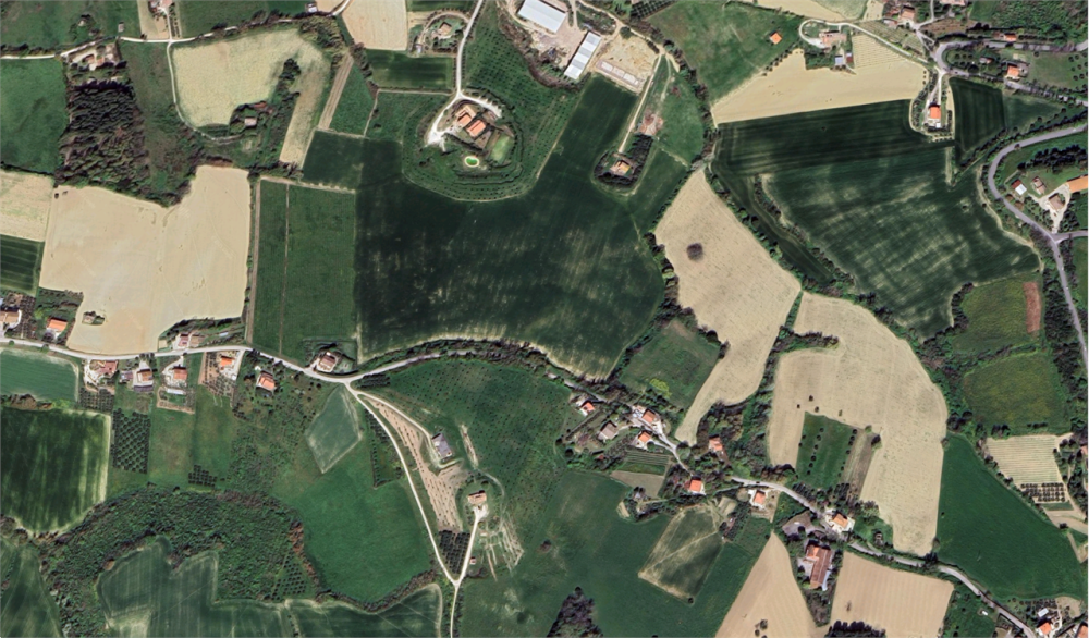 immagine annuncio 9 di 13