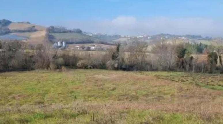 immagine annuncio 2 di 13