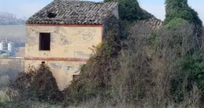 immagine annuncio 1 di 13