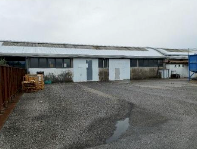 immagine annuncio 4 di 13