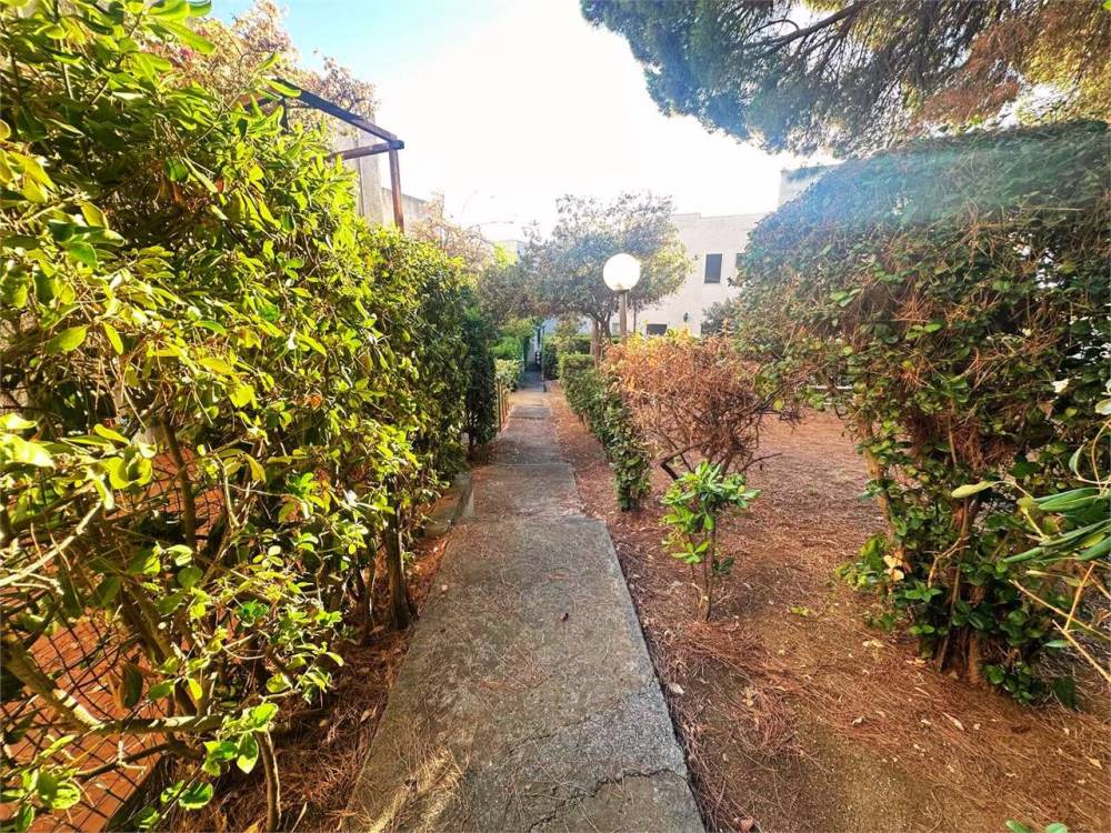 immagine annuncio 4 di 13