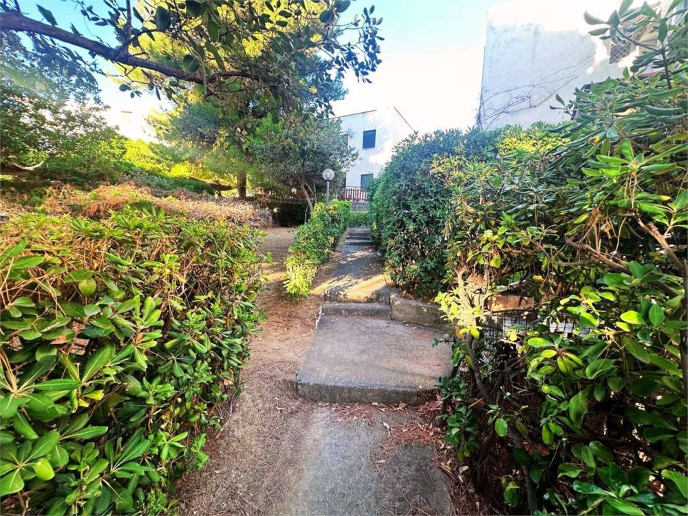 immagine annuncio 5 di 13