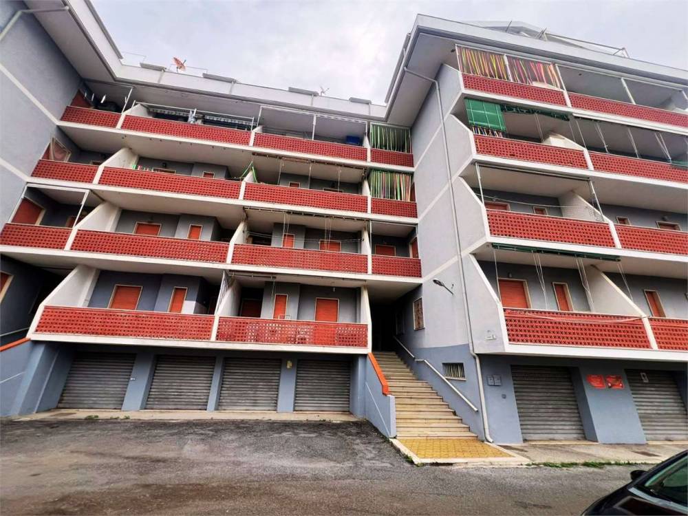 immagine annuncio 1 di 13