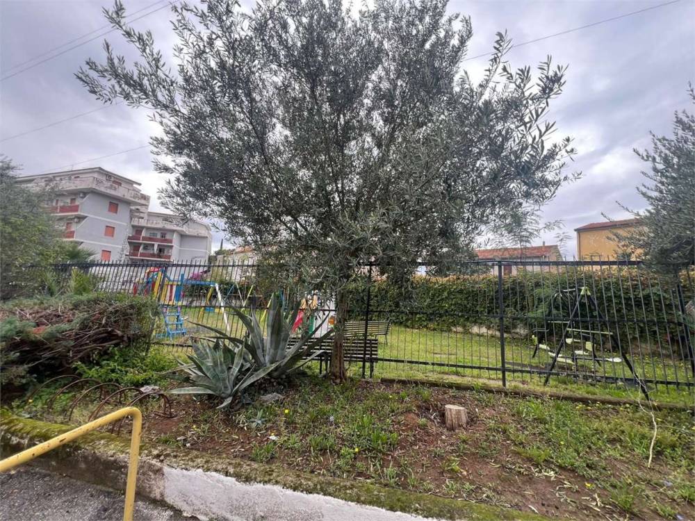 immagine annuncio 5 di 13