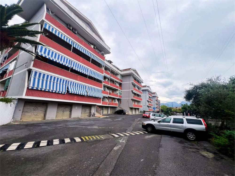 immagine annuncio 7 di 13