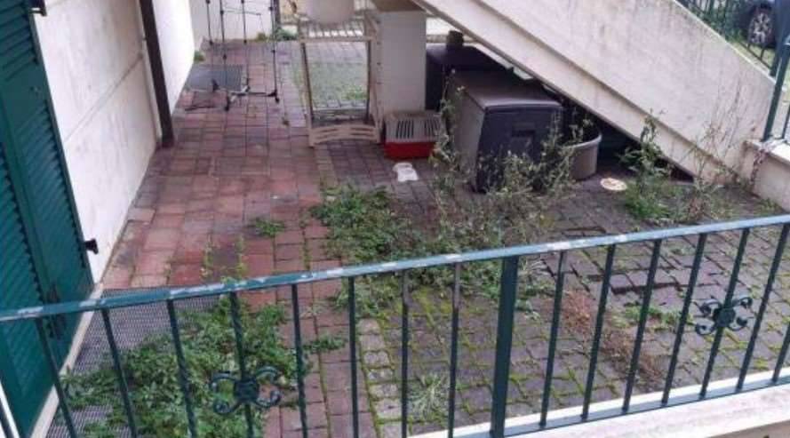 immagine annuncio 2 di 13