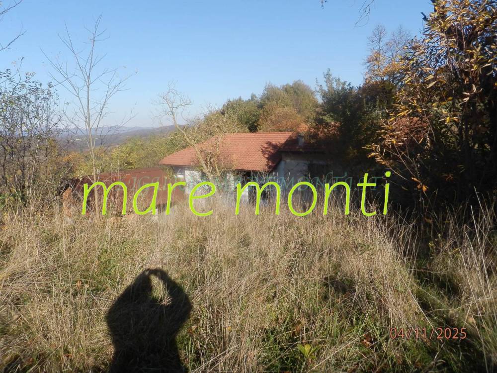 immagine annuncio 3 di 13