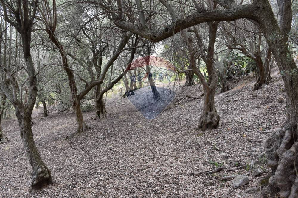 immagine annuncio 11 di 13