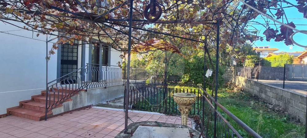 immagine annuncio 1 di 13