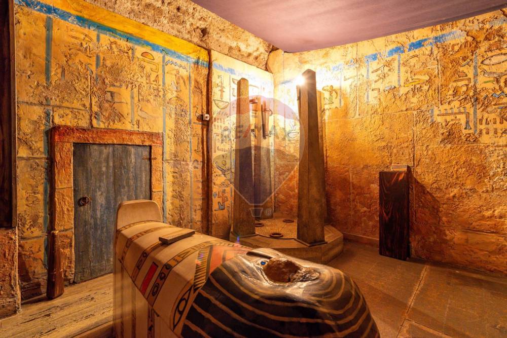 immagine annuncio 3 di 13