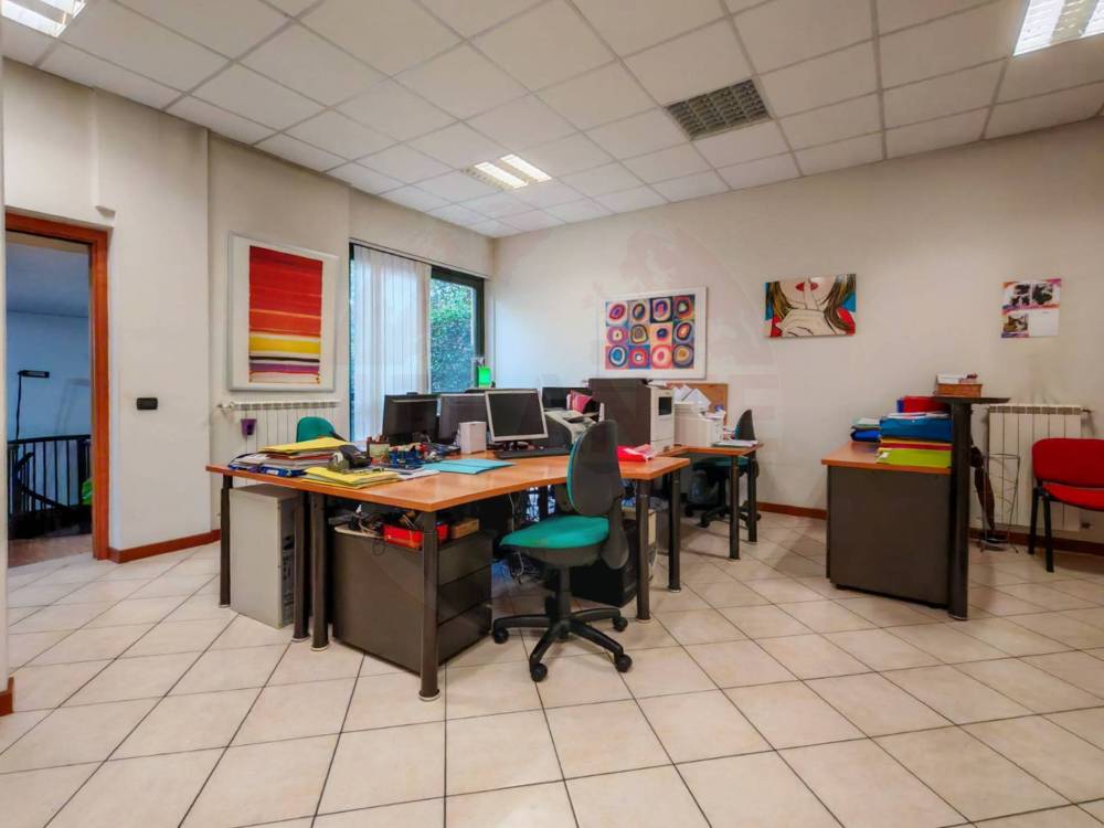 immagine annuncio 3 di 13