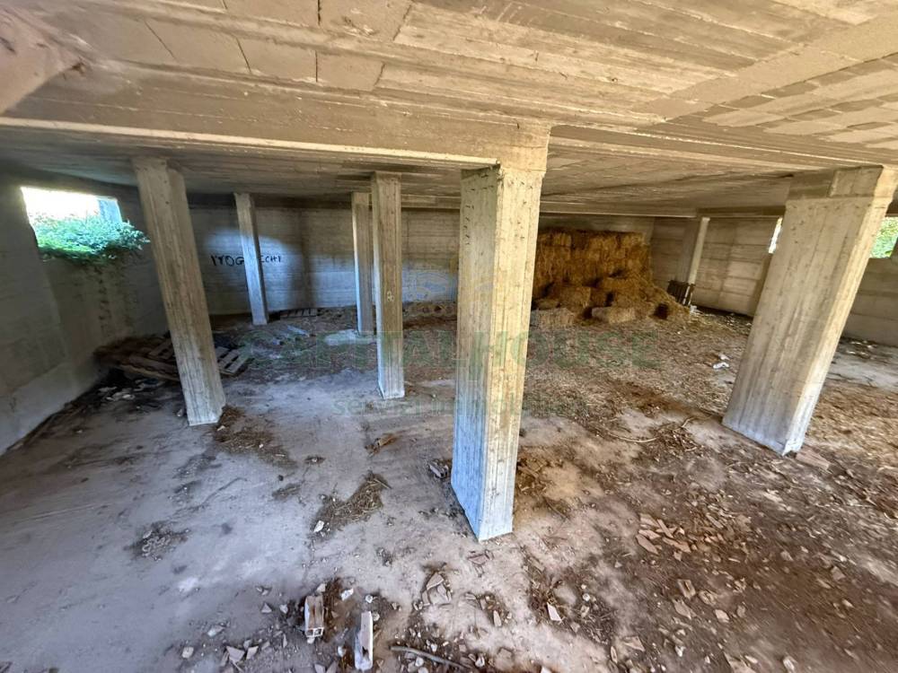 immagine annuncio 9 di 13