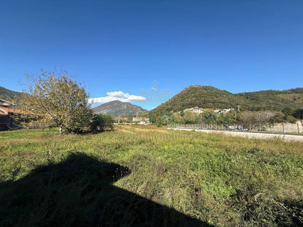 immagine annuncio 12 di 13