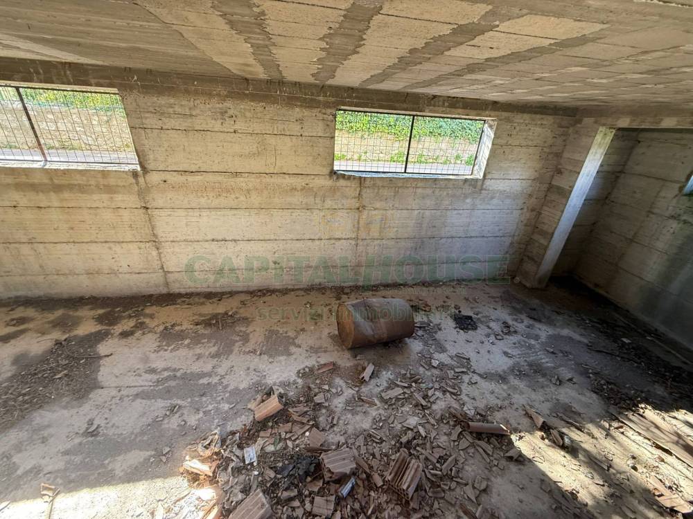 immagine annuncio 10 di 13