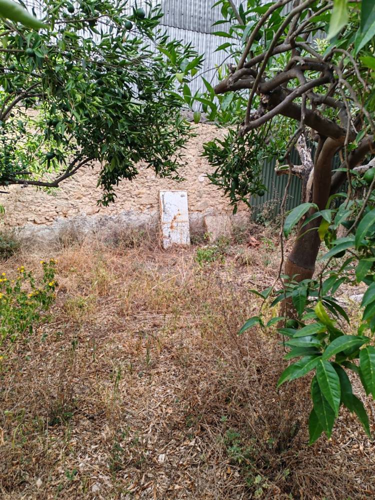 immagine annuncio 10 di 12